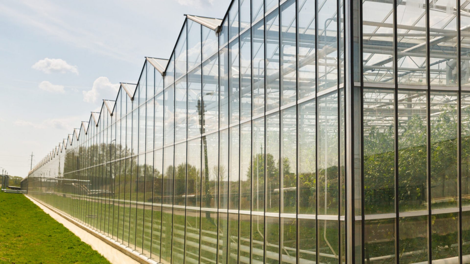 Greenhouses growing vegetables on background sky outdoors